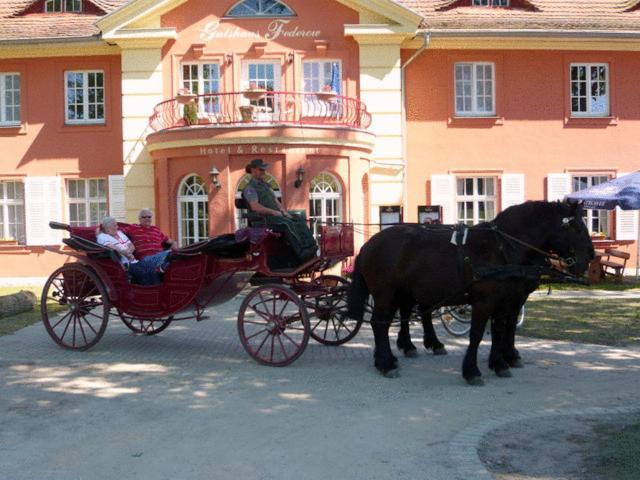 Отель Altes Gutshaus-Federow Экстерьер фото